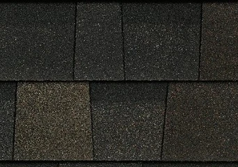 Black Sable